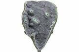 Gorgeous Amethyst Geode Section on Metal Stand #209228-1